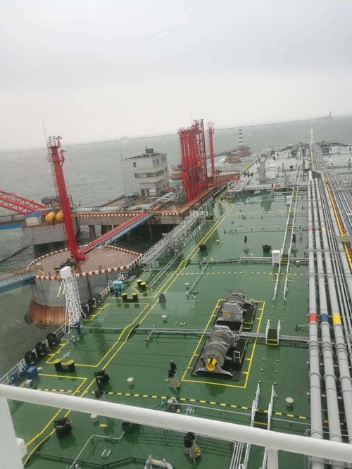 曹妃甸化学园区拓展大宗商品贸易业务为高质量发展注入新动能