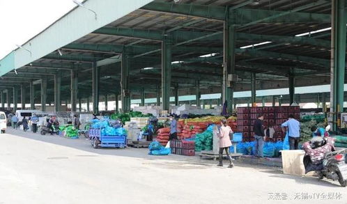无锡朝阳农产品市场现状 回顾被封后的战疫时刻