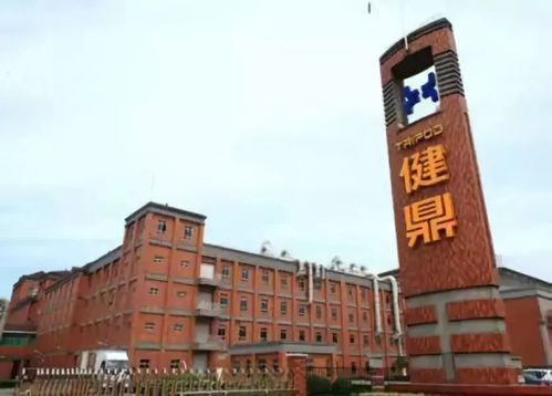 我市外贸进出口持续 升温